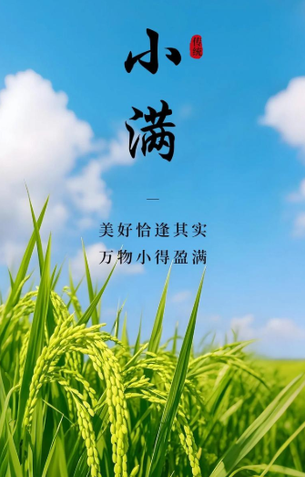 图片-小满.png